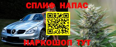 прущие грибы Моздок