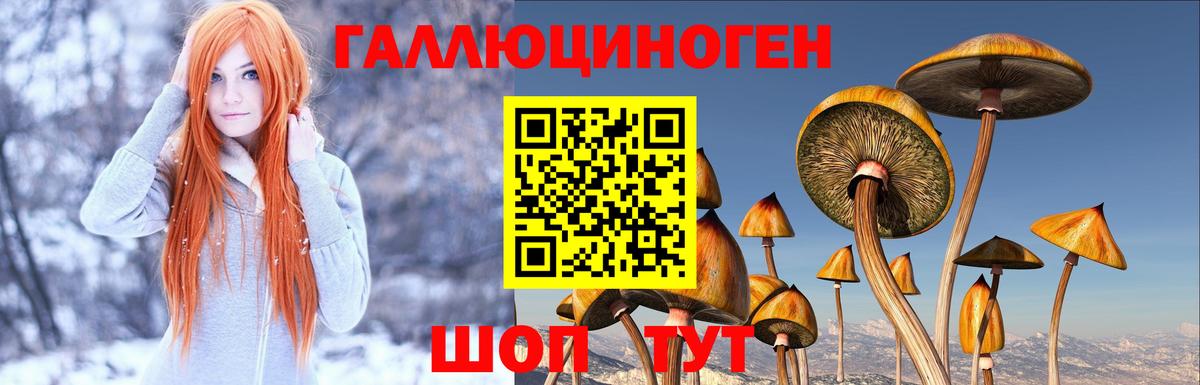 Галлюциногенные грибы прущие грибы  Галлюциногенные грибы GOLDEN TEACHER  Грязи  Вход с VPN 